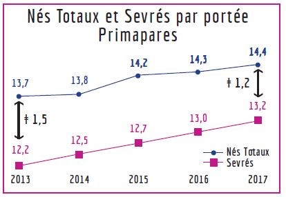 La qualité des porcelets est un facteur clé de la rentabilité des élevages